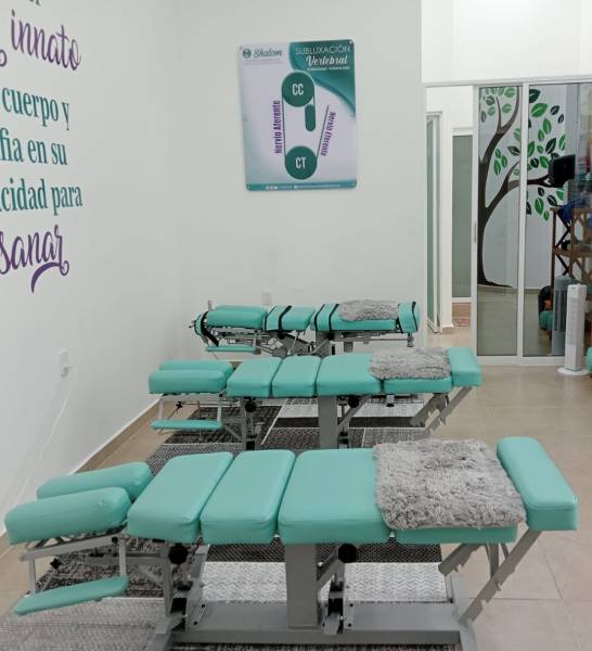 centro quiropractico en toluca de lerdo