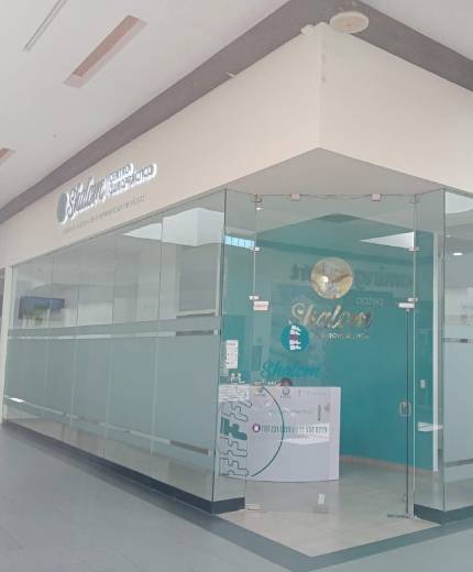 centro quiropractico shalom metepec