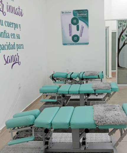 centro-quiropractico-shalom-metepec